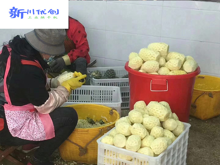 水果新吃法，飯后小零嘴——好吃不怕胖