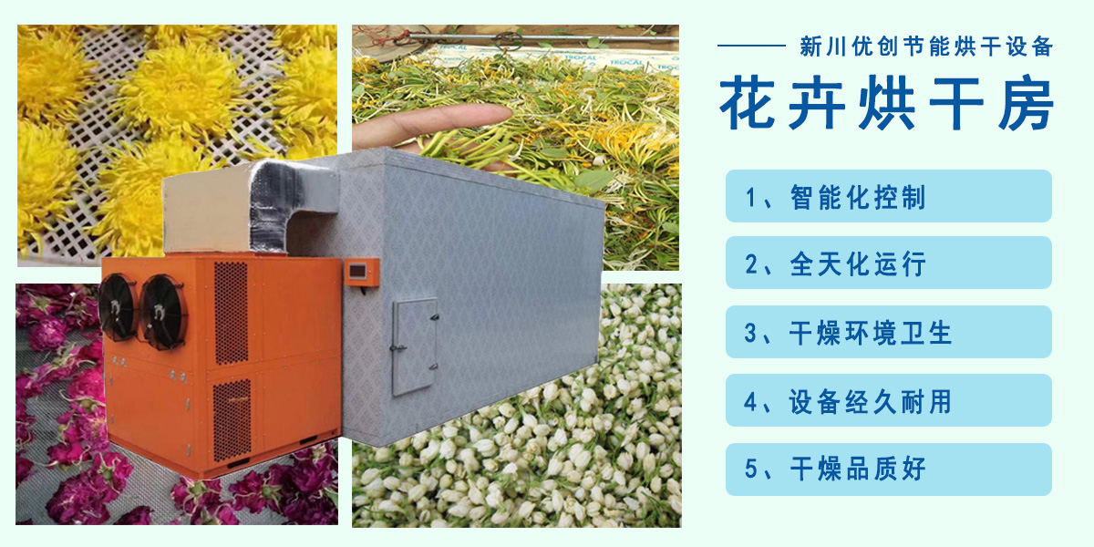 杭白菊烘干機